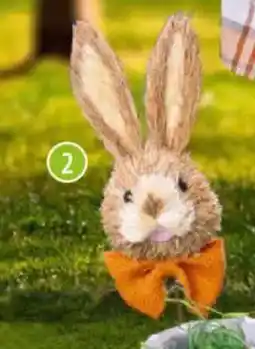 Famila Nord Ost Blumenstecker Osterhase Angebot