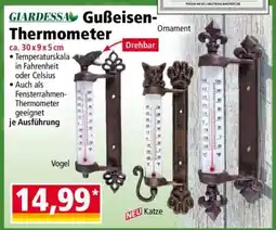 Norma Gußeisen-Thermometer Angebot