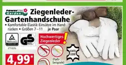 Norma Ziegenleder- Gartenhandschuhe Angebot