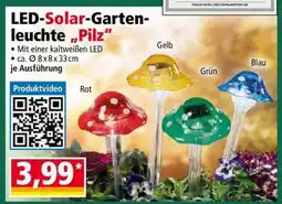 Norma LED-Solar-Gartenleuchte „Pilz“ Angebot