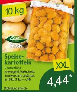 Norma Speisekartoffeln Angebot