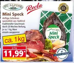 Norma Mini Speck Angebot