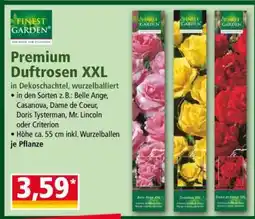Norma Premium Duftrosen XXL Angebot