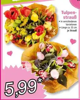 Norma Tulpenstrauß Angebot