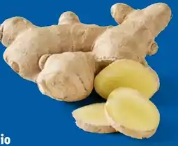Lidl Bio Ingwer Angebot