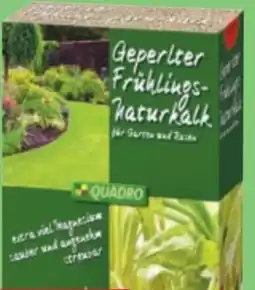 Thomas Philipps Quadro Geperlter Frühlings-Naturkalk Angebot