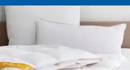 Lidl Balette DeLuxe Gänsefeder Kopfkissen Gold-Edition Angebot