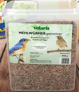 Thomas Philipps Volaris Mehlwürmer Angebot