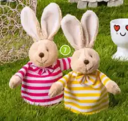 Famila Nord Ost Eierwärmer Angebot