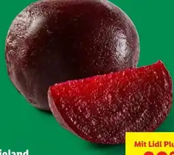 Lidl Bio-Rote Bete Gekocht Angebot