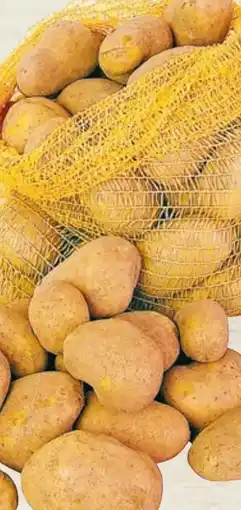 Thomas Philipps Speisekartoffeln XXL Angebot