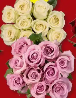 Lidl Exklusive Rosen Angebot