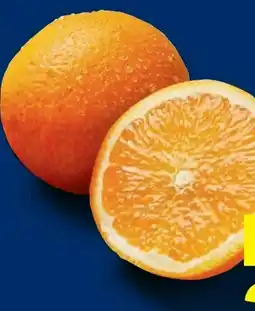 Lidl Orangen Angebot