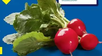 Lidl Radieschen Angebot