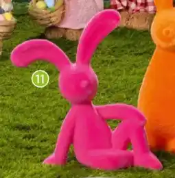 Famila Nord Ost Hase Angebot