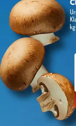 Aldi Süd Champignons Angebot