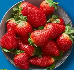 Aldi Süd Erdbeeren Angebot