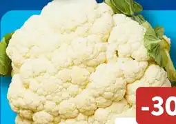 Aldi Süd Blumenkohl Angebot