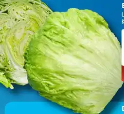 Aldi Süd Eisbergsalat Angebot