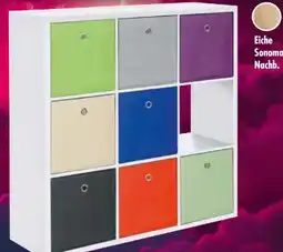 Möbel Boss Regale Max Angebot