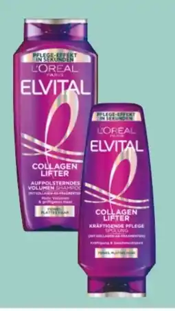Rossmann L'Oréal Paris Elvital Shampoo Angebot