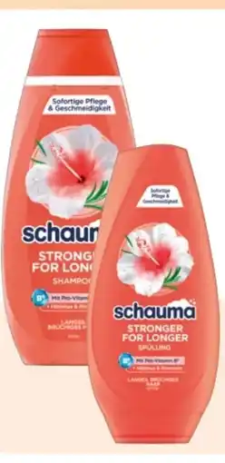 Rossmann Schwarzkopf Schauma Shampoo Angebot