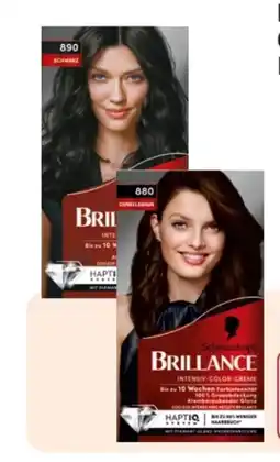 Rossmann Schwarzkopf Brillance Coloration Angebot