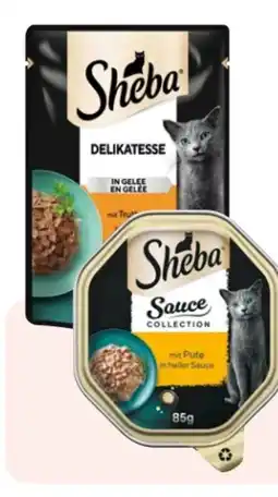 Rossmann Sheba Katzennahrung Angebot