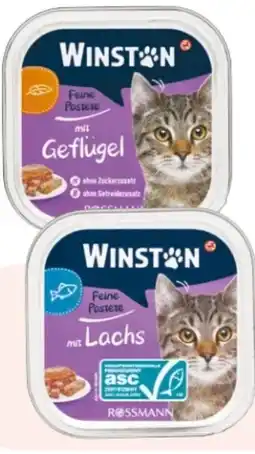 Rossmann Winston Katzen Feine Pastete Angebot