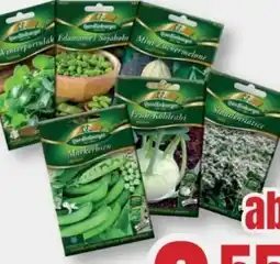 B1 Discount Baumarkt Quedlinburger Sämereien Angebot