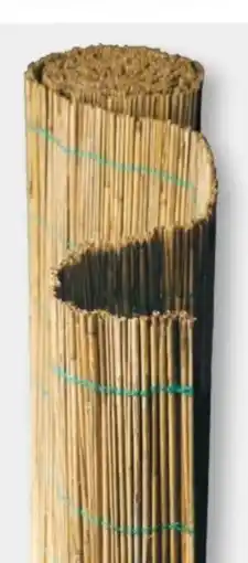 B1 Discount Baumarkt Schilfrohrmatten Angebot