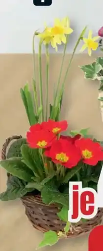 B1 Discount Baumarkt Weiden-Pflanzkorb Angebot