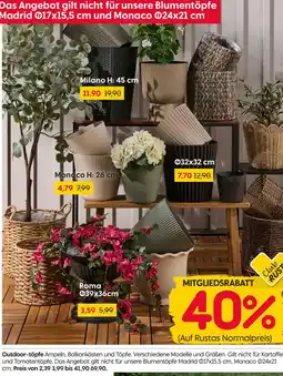 Rusta Milano Angebot