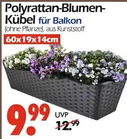 Wreesmann Polyrattan-blumenkübel Angebot