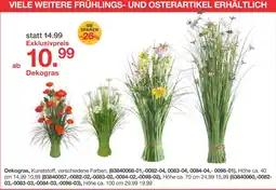 Möbelzentrum Pforzheim Dekogras Angebot