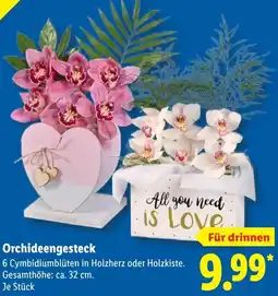 Lidl Orchideengesteck Angebot