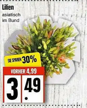 Edeka Lilien Angebot