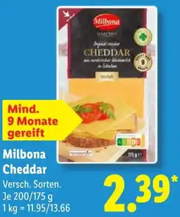 Lidl Milbona Cheddar Angebot