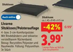 Lidl Livarno Sitzkissen Angebot