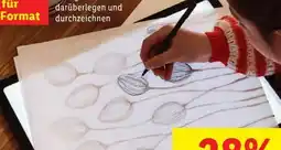 Lidl Crelando LED-Lightpad Angebot