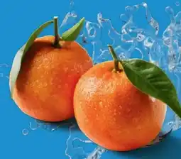 Lidl Mandarinen Angebot