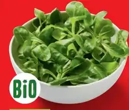 Lidl Bio-Feldsalat Angebot