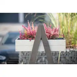 Netto Marken-Discount Westmann Holz Pflanzenregal Ella Angebot