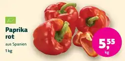 Biomarkt Paprika rot Angebot