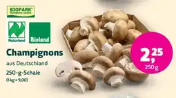 Biomarkt Champignons Angebot