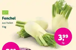 Biomarkt Fenchel Angebot