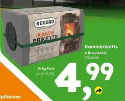 Globus Baumarkt REKORD Kaminbriketts Angebot