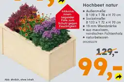 Globus Baumarkt Hochbeet natur Angebot