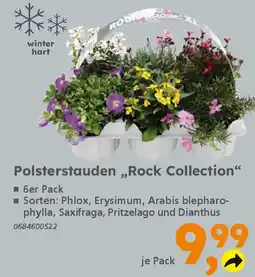 Globus Baumarkt Polsterstauden ,,Rock Collection" Angebot