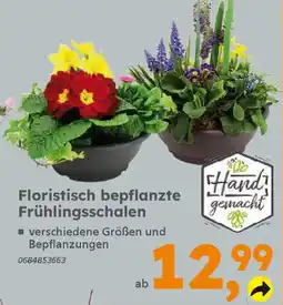 Globus Baumarkt Floristisch bepflanzte Frühlingsschalen Angebot